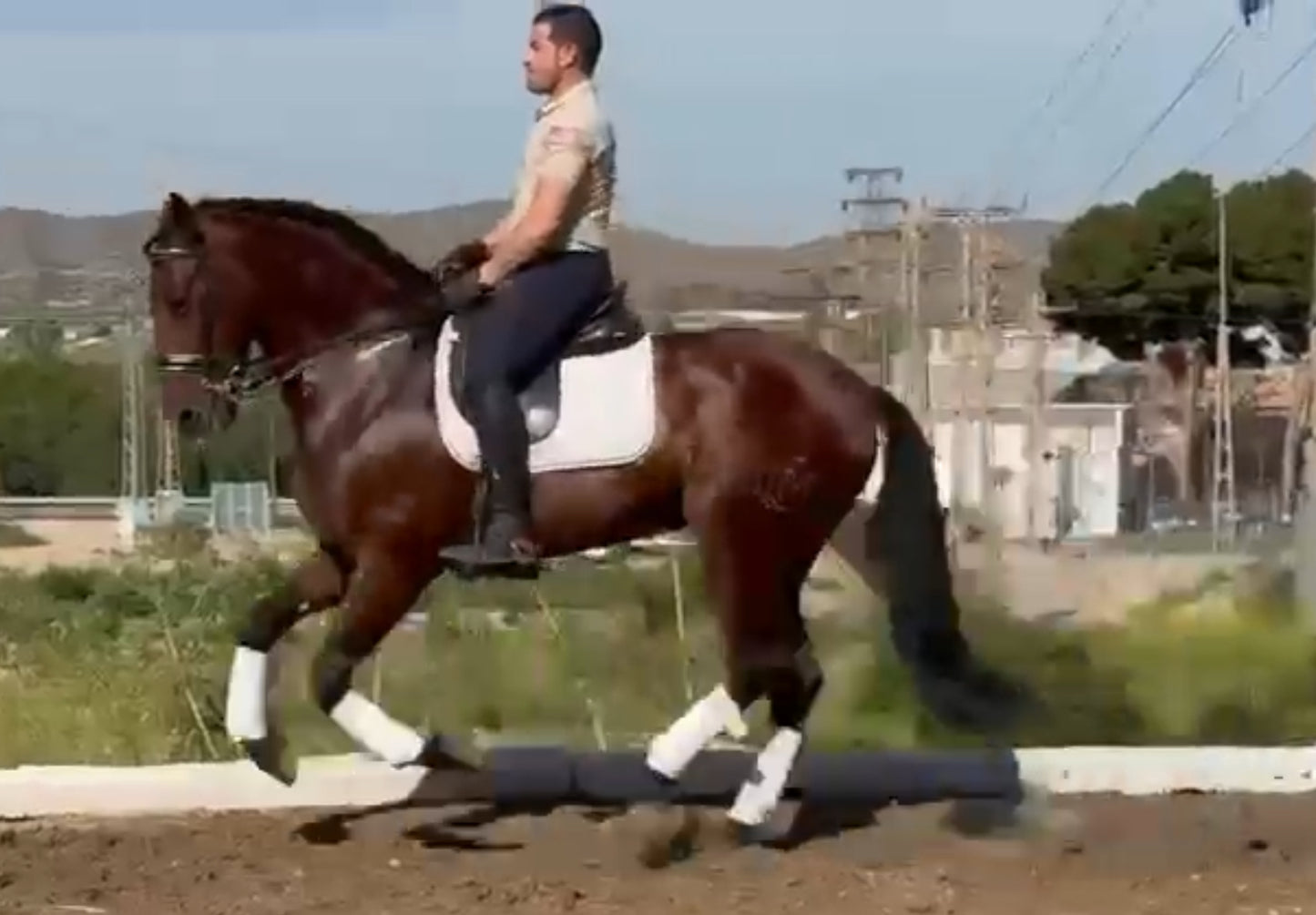 OPIO