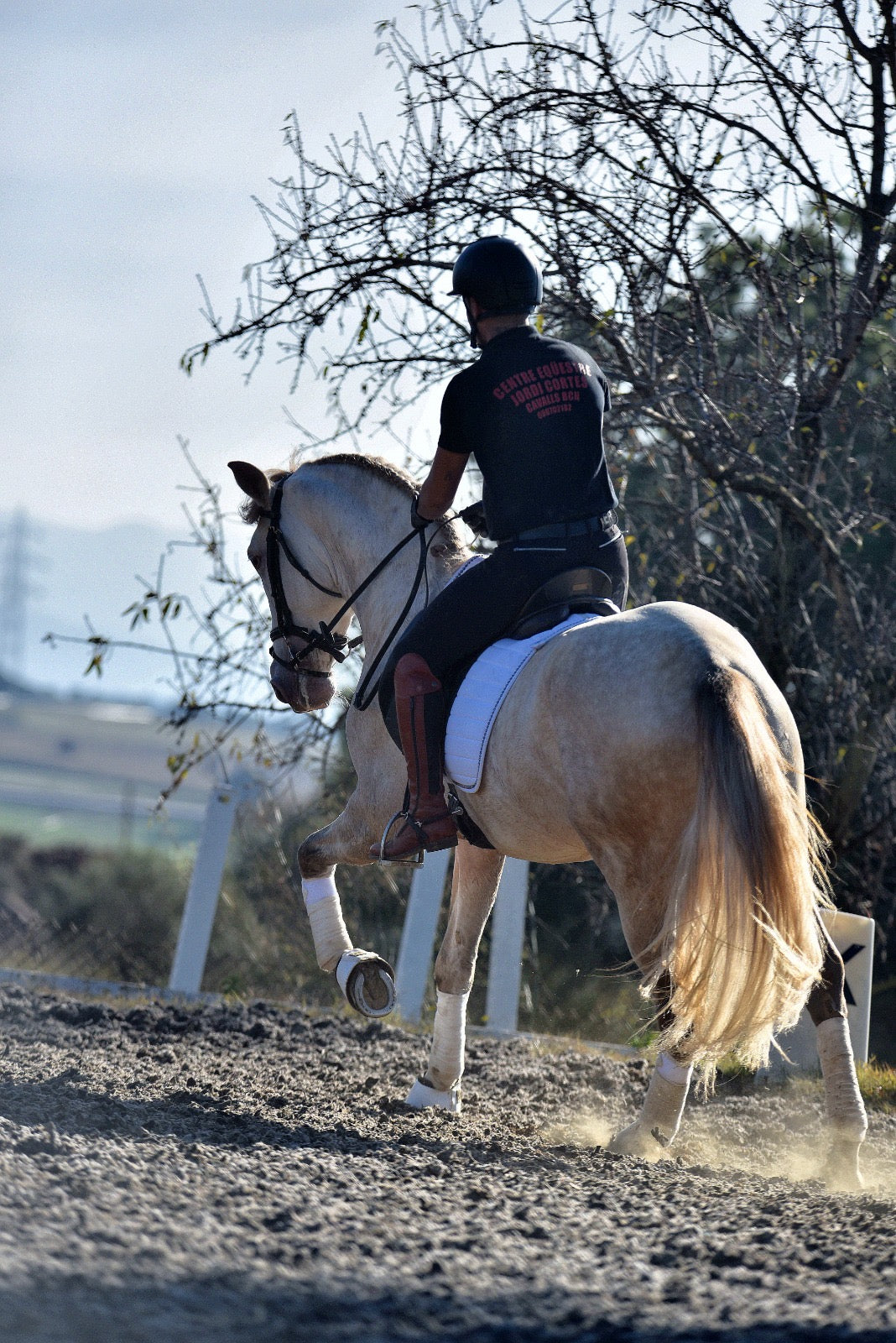 BIOR - False Isabelo