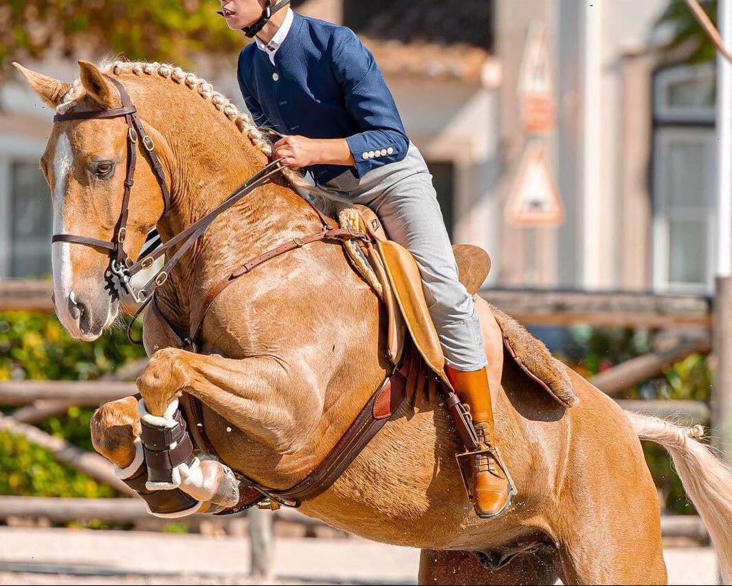 Working Equitation Lusitano