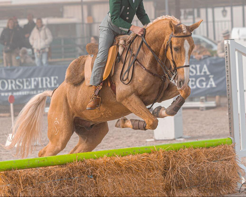 Working Equitation Lusitano