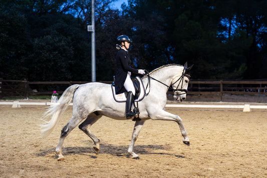 CHAMPION - GPRIX MOVER