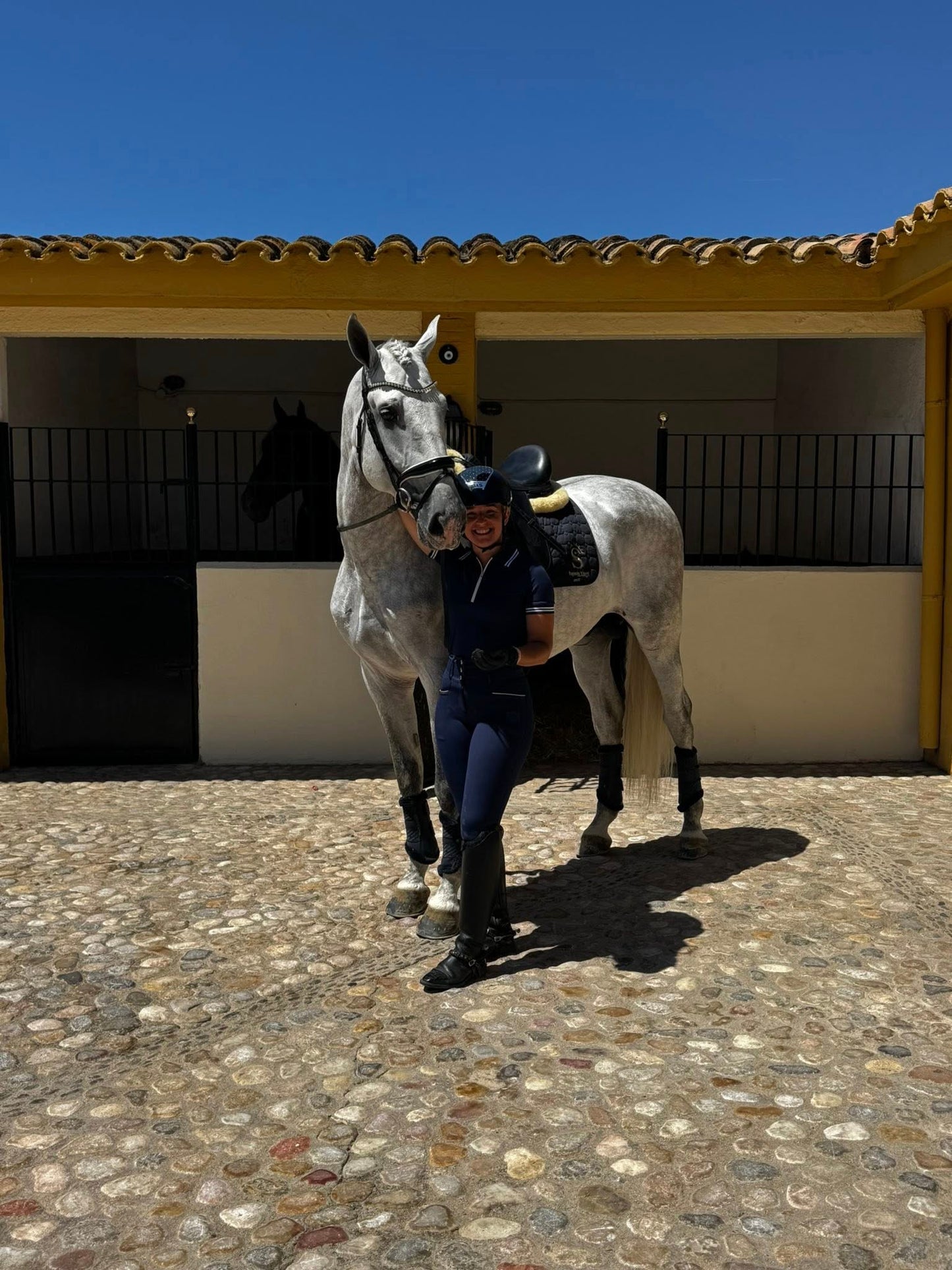 18-BONACHON - Amateur friendly young horse PRE