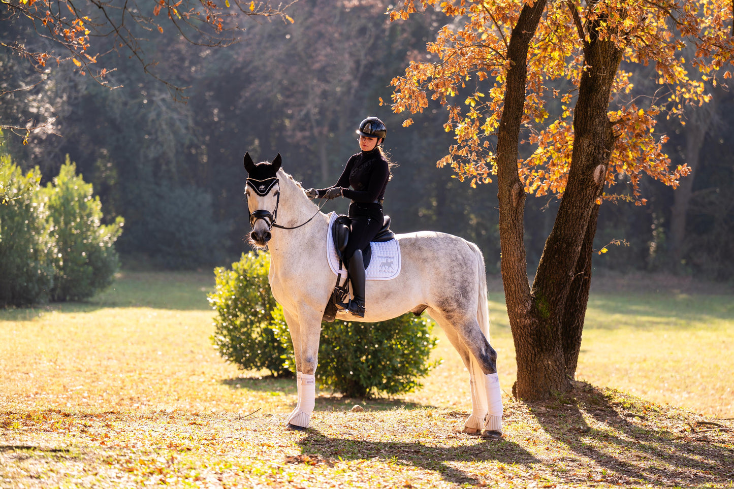 CHAMPION - GPRIX MOVER