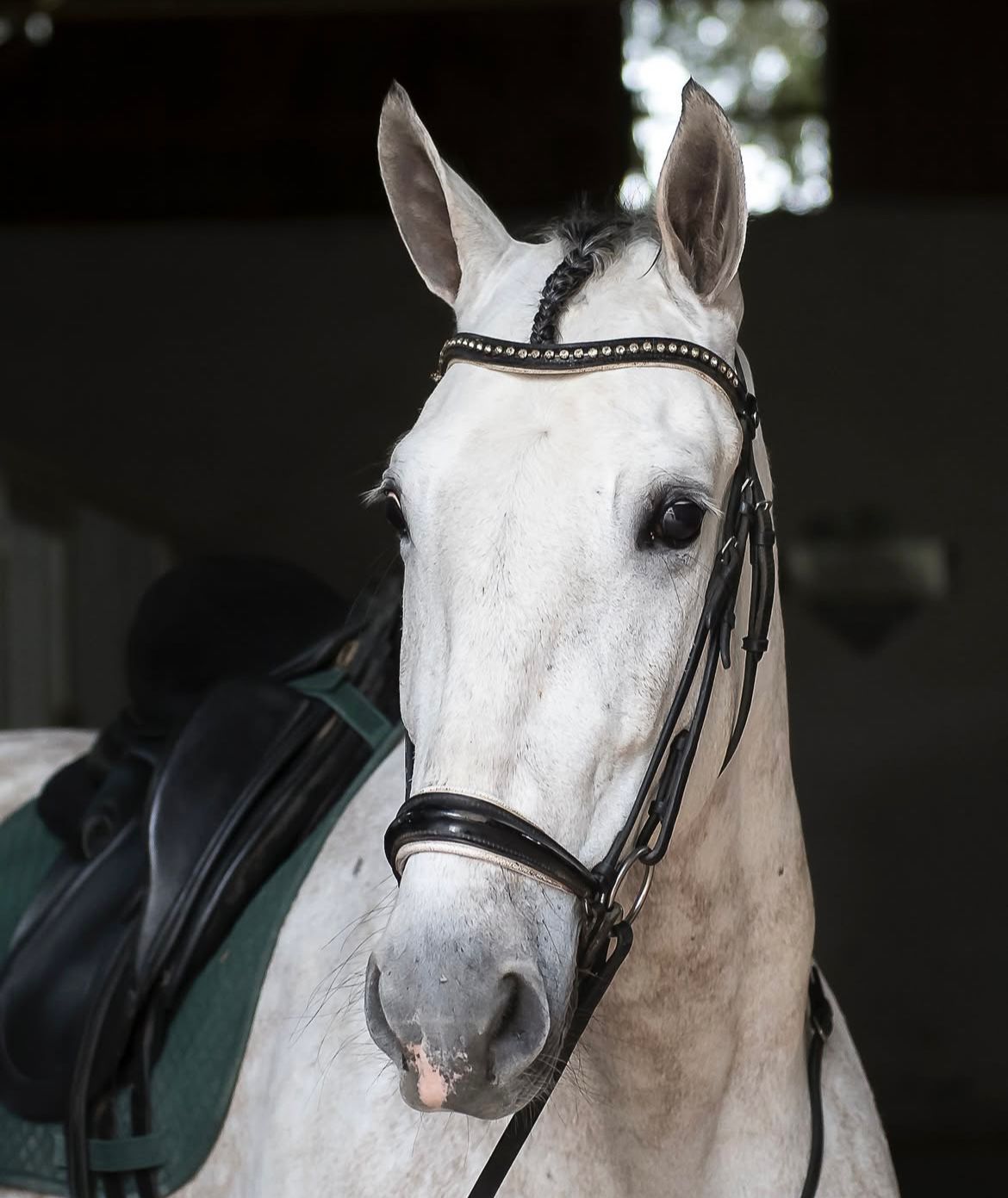 VINITO - AMATEUR SAFE