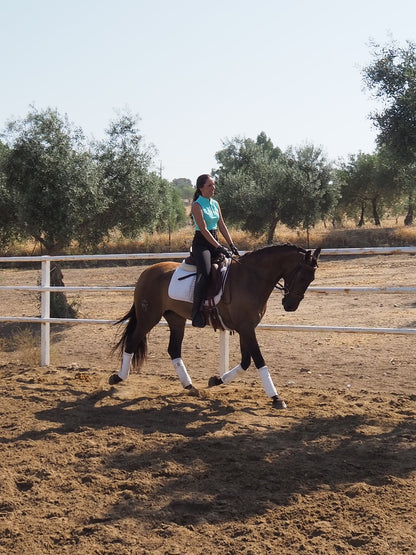 ALONA