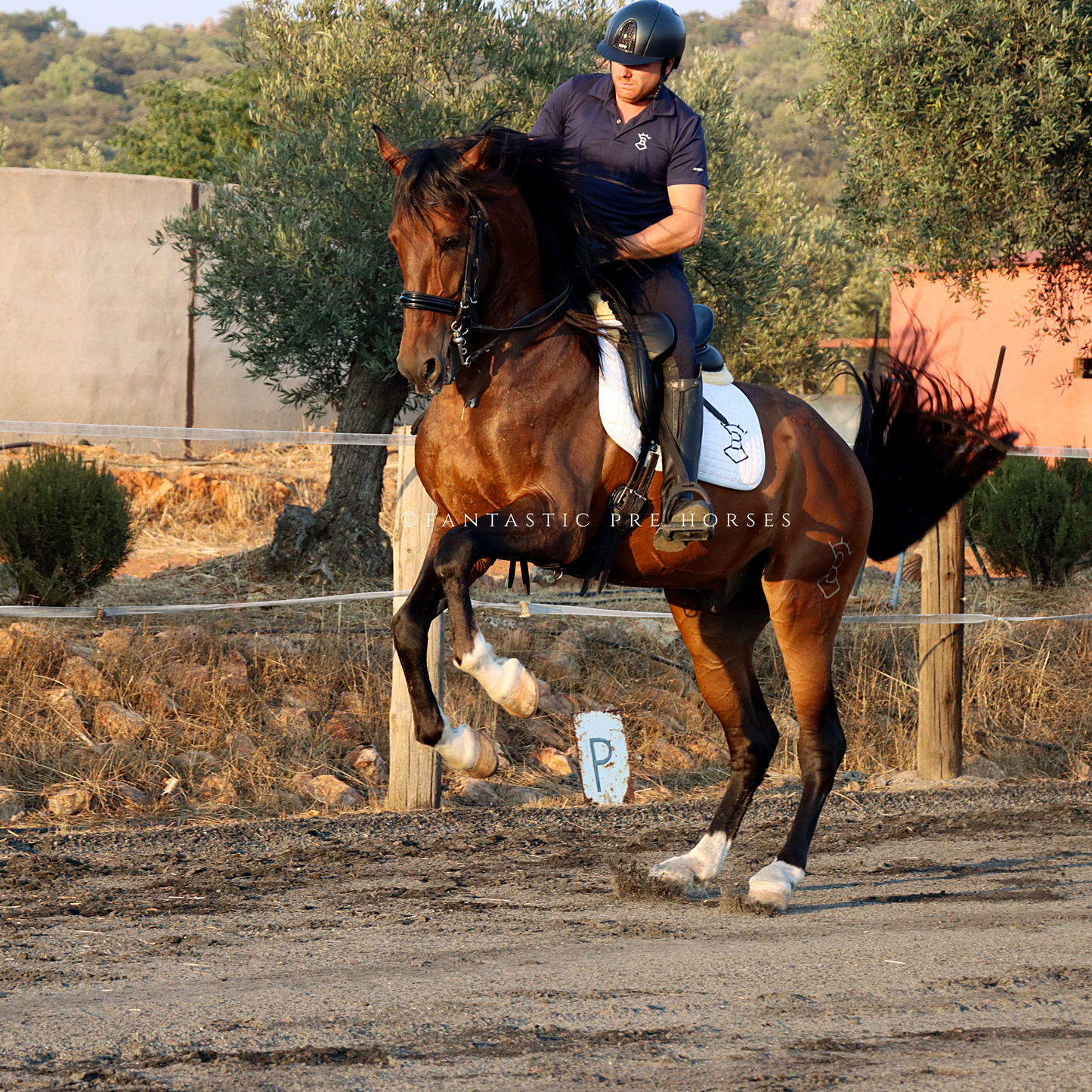 CALCETO