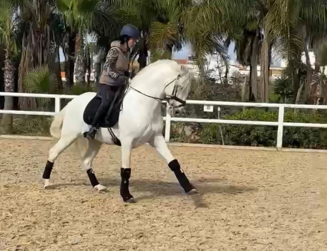 URBO - Schoolmaster PRE