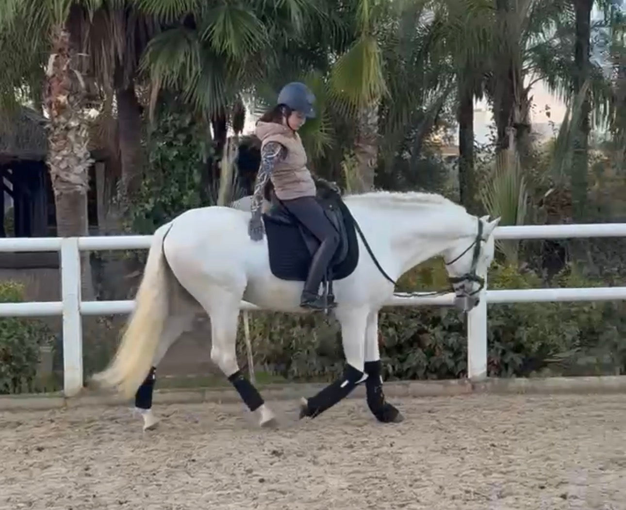 URBO - Schoolmaster PRE