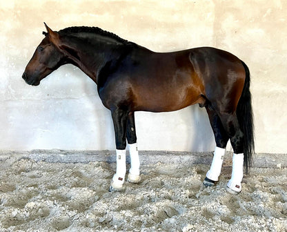 CAPOTE