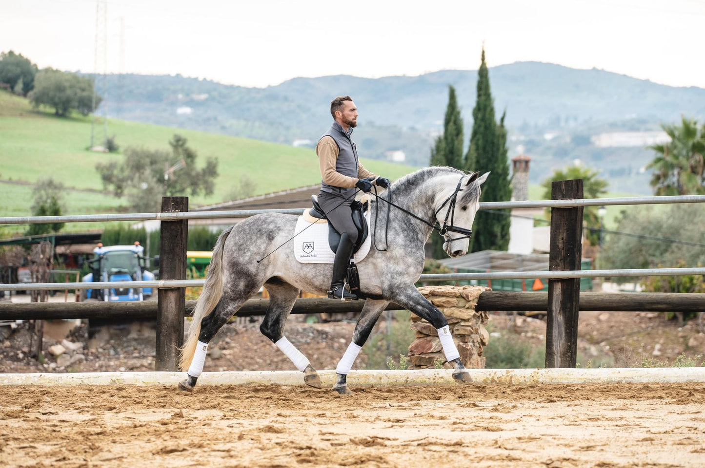 22- ROMERITO - QUALITY YOUNG HORSE WITH QUALITY FOR FUTURE FEI SHOW