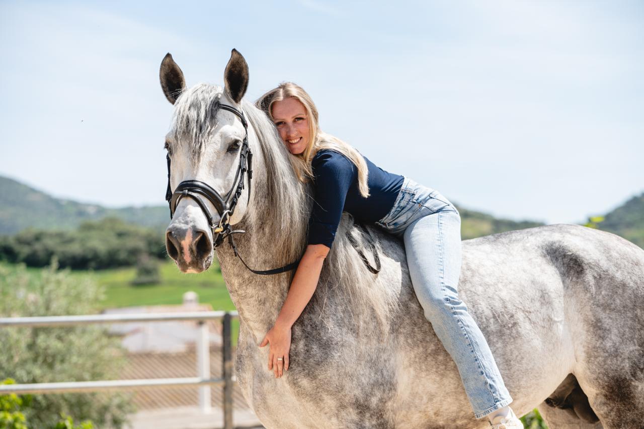22- ROMERITO - QUALITY YOUNG HORSE WITH QUALITY FOR FUTURE FEI SHOW