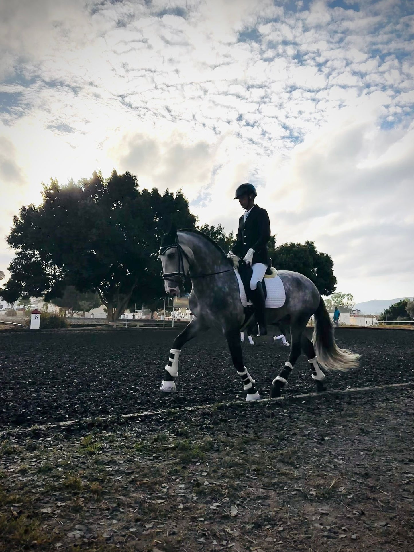 25- JUDIO- SHOW WINNER WITH A GREAT LEVEL EDUCATION