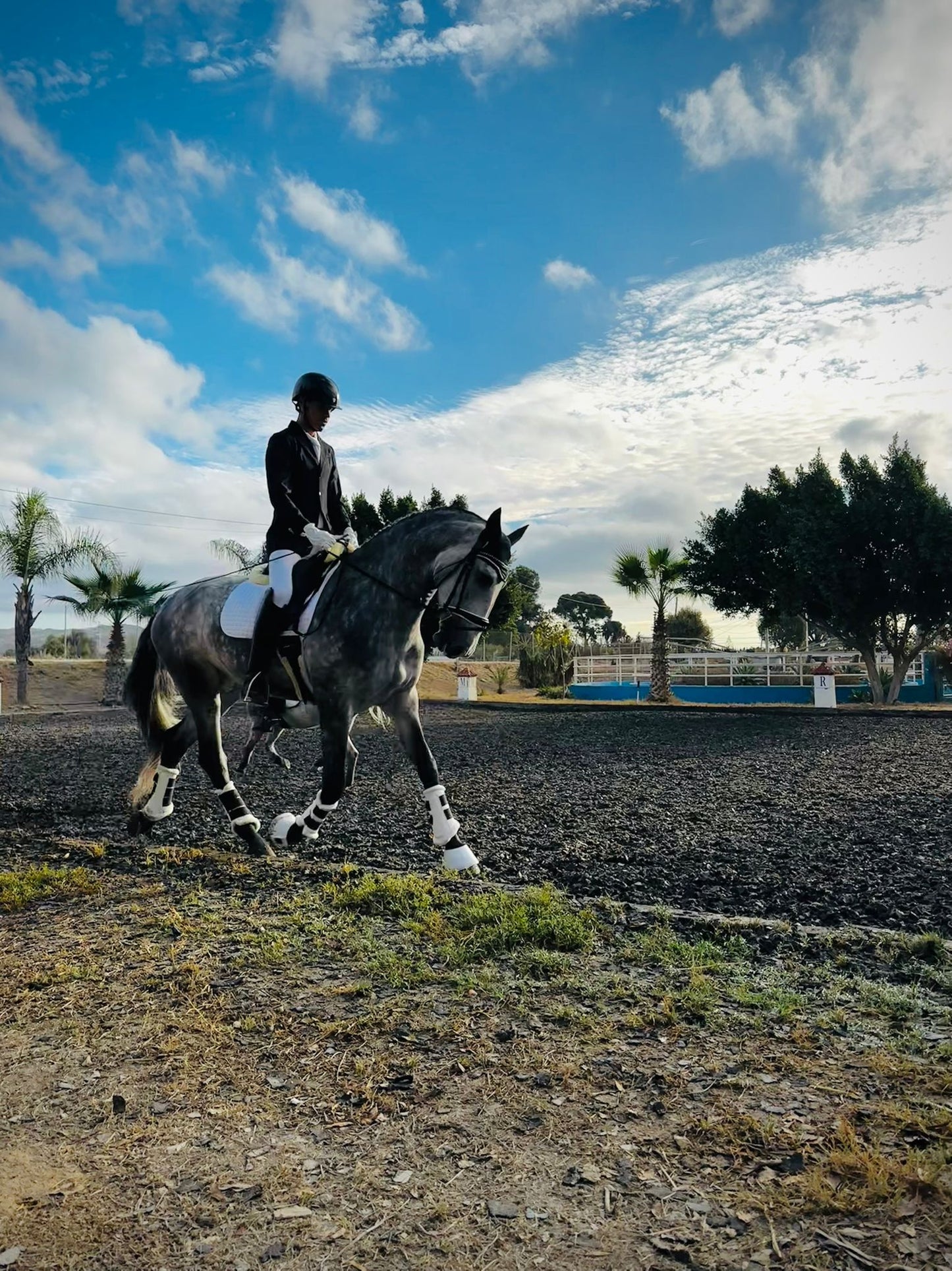 25- JUDIO- SHOW WINNER WITH A GREAT LEVEL EDUCATION