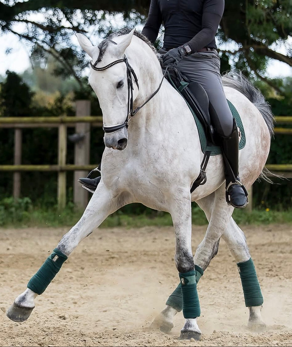 VINITO - AMATEUR SAFE