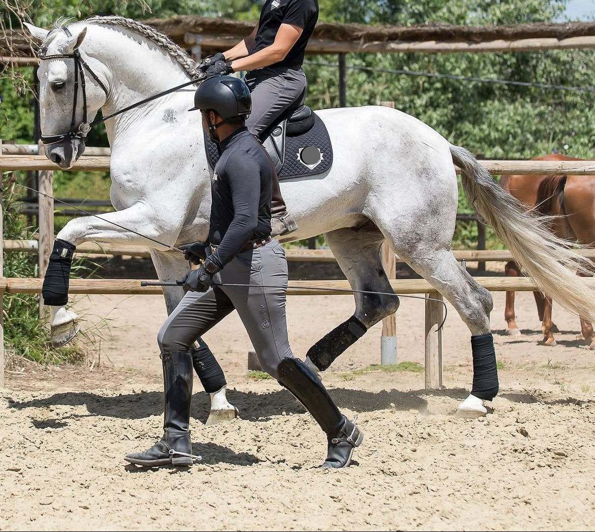 VINITO - AMATEUR SAFE