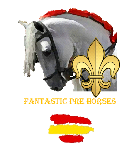 Fantastic PRE Horses